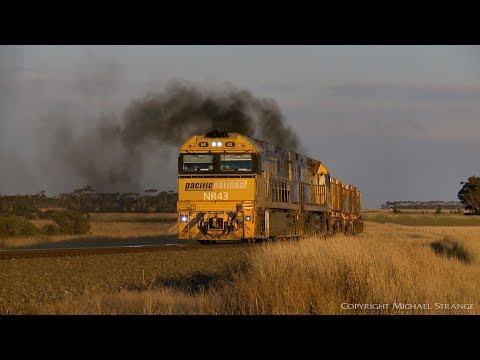 3MA5 Pacific National Intermodal Freight Train (25/2/2020) - PoathTV Australian Railways