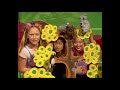 Hi 5 Senses Pt 5