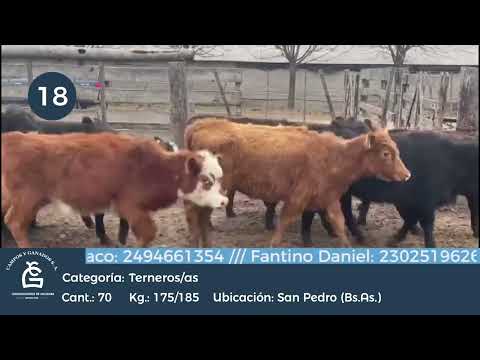 Lote M Y H - San Pedro Bs As