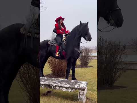 esperando mis flores 😌🌹 #angelinavictoria #caballos #friesian #cowgirl #vaquera