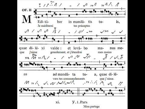 Offertorium Meditabor in situ (v2)