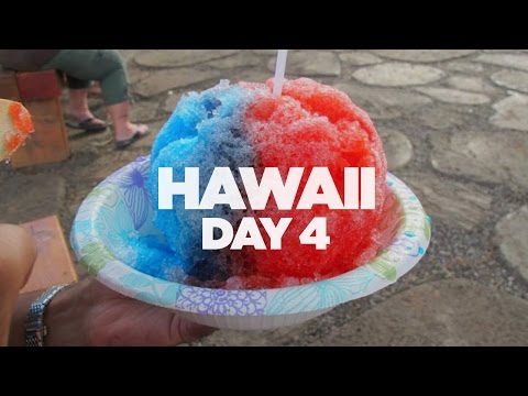 Hawaii Vlog 2015: Day 4 - The Dole Plantation & Mastumoto Shave Ice