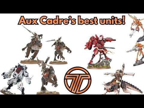 Tau's Auxiliary Cadre Unit Tier List!