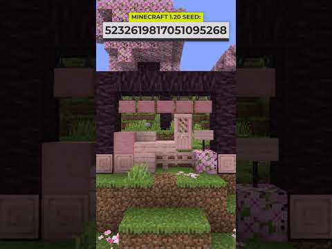 akirby80 - Minecraft Cherry Grove Biome Seed with a Village!