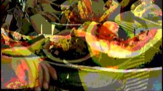 Los Colores Sobre el Negro - Ana Mercedes Hoyos