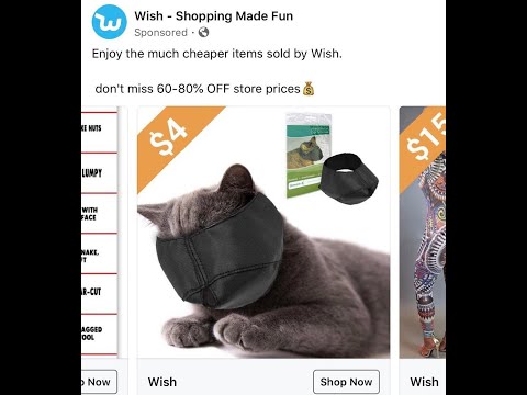 Cursed Wish Items - WTF WISH?