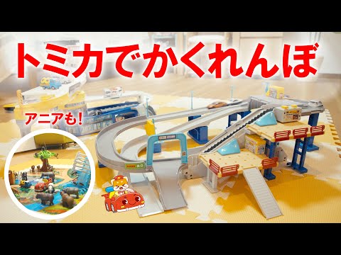 【かくれんぼ】びーくるずーのみんなとトミカとアニアでかくれんぼ！｜びーくるずー｜子ども向け｜【トミカ・プラレール・アニア】