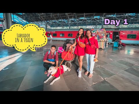 TRAVELING WITH MY PET DOG IN A TRAIN - MUMBAI TO RISHIKESH