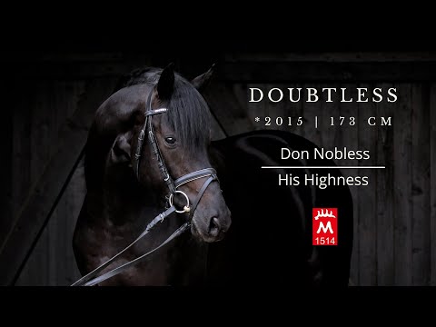 DOUBTLESS *2015 v. Don Nobless - His Highness