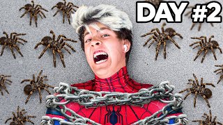 I Survived 50 Hours as Spider-Man - Challenge