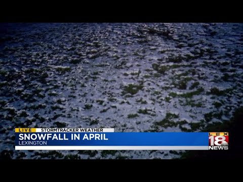 Waking up to a little April snow in Kentucky