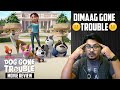 Dog Gone Trouble NETFLIX Review | Yogi Bolta Hai