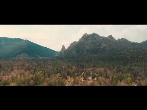 Godzilla KOTM - Methuselah extended scene