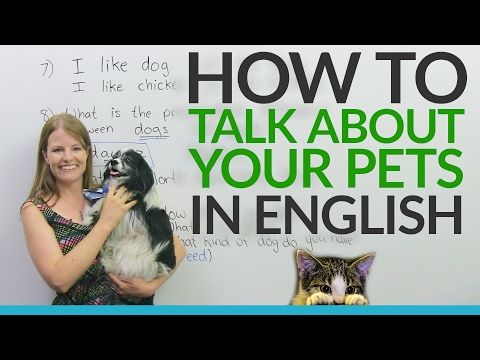 【英文技巧】一起用英文聊聊你家的寵物吧!Real English: Talking about pets and animals