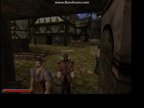 Nieskończone złoto GOTHIC II NOC KRUKA