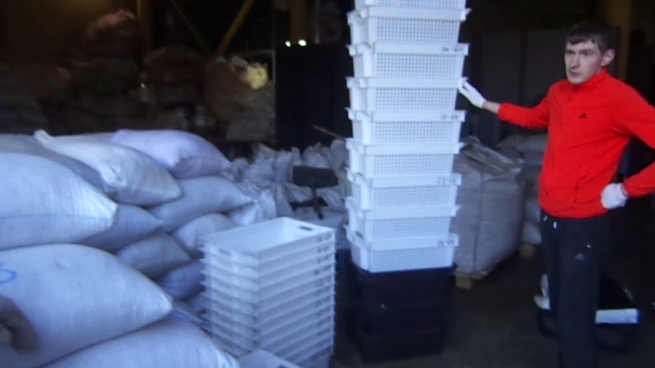 Презентация