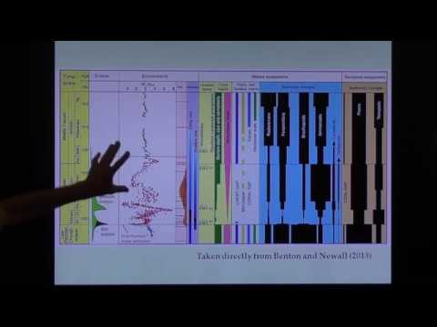 Permian-Triassic Boundary vs. Mass Extinction: A Comprehensive