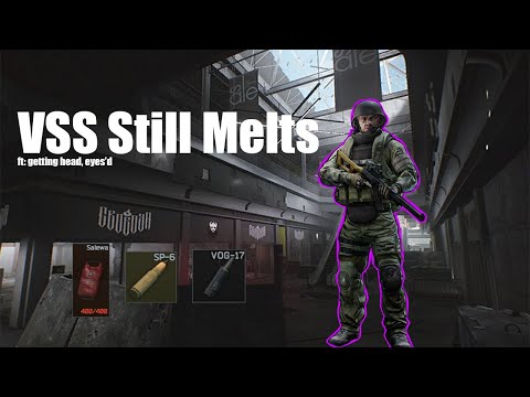 VSS Still Melts | Escape From Tarkov #Tarkov #eft