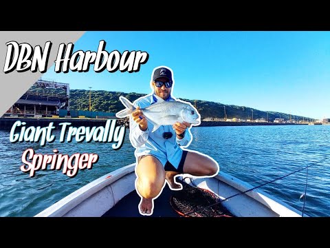 WR Fishing Durban Harbour - Teaching A Subscriber. BIG KINGY, Springer and Threadfin, South Africa.