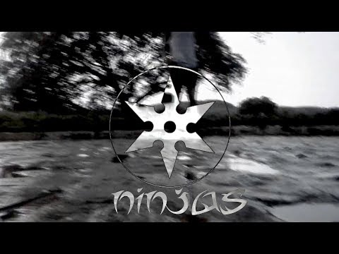 David Silva. Free Step 2017.Reedition, NINJAS