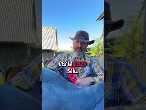 Povesti calare…Sa ne descretim fruntile🥳 ca doar e duminică #funvideo #pensiuneadorubelis