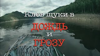 Ловля щуки в дождь и после дождя