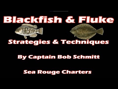 Secret Strategies for Fluke - Flounder & Blackfish by Capt. Bob of Sea Rouge Charters