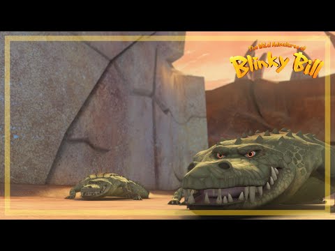 Dangerous crocodiles - The Wild Adventures of Blinky Bill 🐨🌿