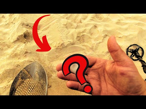 Metal detecting #8 Wakajki z detektorem: Dziś krótko, bo Władek mnie nie lubi :/