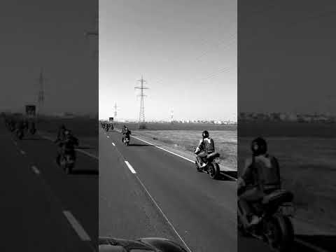 Gremium MC Romania / Bad Seven MC Romania