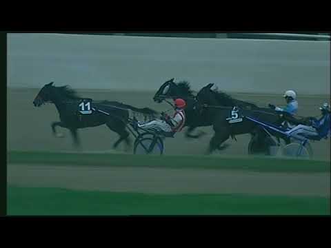 Napoli Trotto 04/11/2022 - 1ª corsa