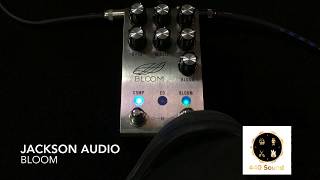Jackson Audio Bloom