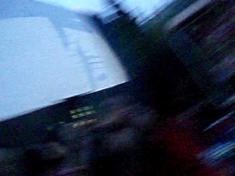 Zoo Project Gow- Ibiza