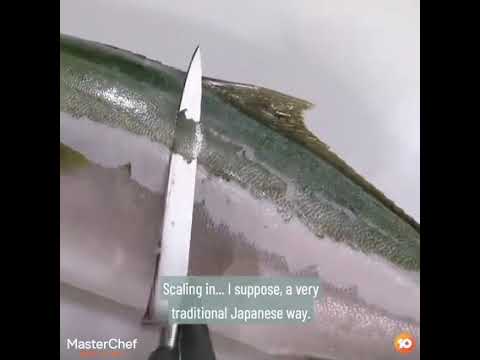 How to cut fish like a master chef | cuts of fish 🐠🐋🐟| culinary  education | master chef..