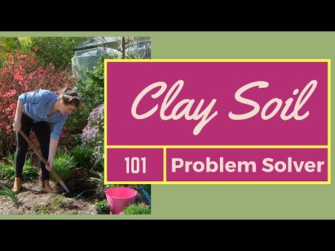 Clay Soil Improvement // How to use liquid eco flo...
