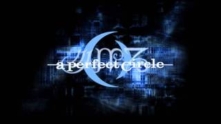 A Perfect Circle - Sleeping Beauty (acoustic)