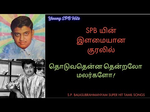 எஸ் பி பி யின் இளமையான குரலில் -S.P. பாலசுப்ரமணியம் தமிழ் பாடல்கள் - Young SPB Hits