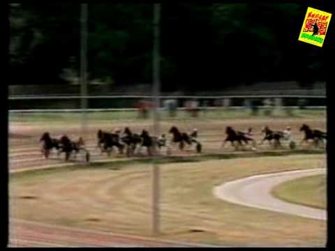 Merengo, Várhidi Róbert