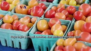 Download lagu Meningkatnya Permintaan terhadap Sayur Mayur Organik mp3