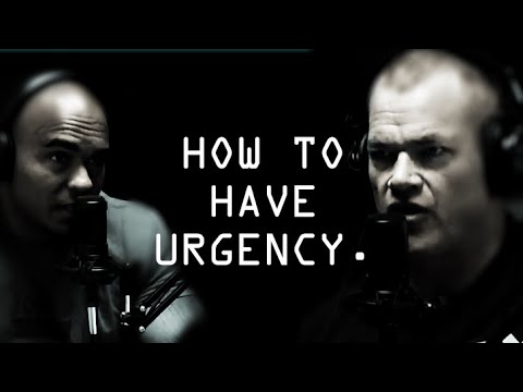 "Do It and It'll Be Done".  How To Have Urgency - Jocko Willink and Echo Charles