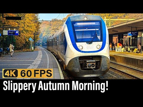 Train Cab Ride NL / Slippery Autumn Morning / Tiel - Utrecht - Soest - Baarn / SLT Sprinter / Nov'25
