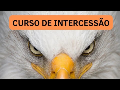Curso de Intercessão - AULA 1
