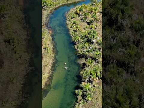 Turistas praticando flutuação no rio São Domingos
