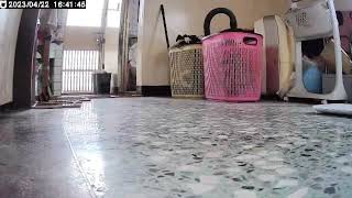 [經驗] 萬物皆有靈