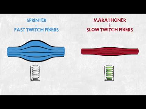 Sprinter vs. maratonec