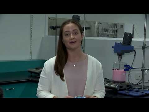 Specialist food company sells its flavour creations to the world