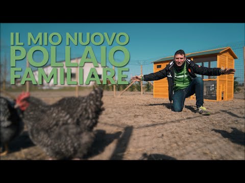 Il mio Pollaio Famigliare: perchè ho scelto di avere un nuovo pollaio?