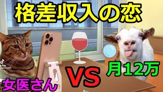 【猫ミーム】収入格差の恋！！(占い師編)