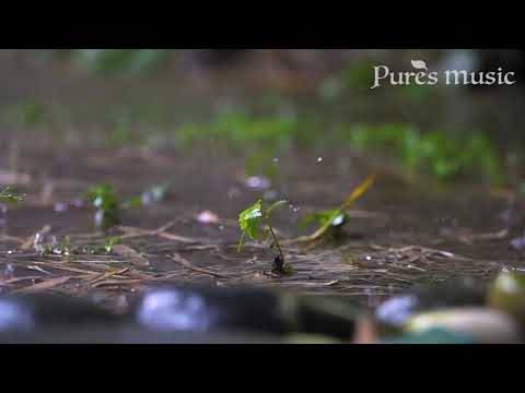 Piano With Rain! Just enjoy the rain. Background sound: Array Mbira #mbira #kalimbasong #thumbpiano