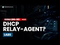 CCNA CCNP DHCP Advanced With Relay Agent Labs Sikholive